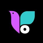 Colibri Media Group